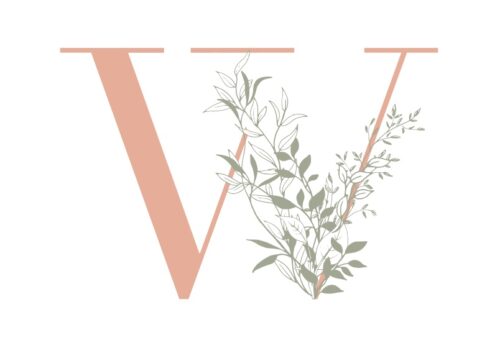 Willow Logo - City Plaza - Willow Trade for Flowers and Gifts